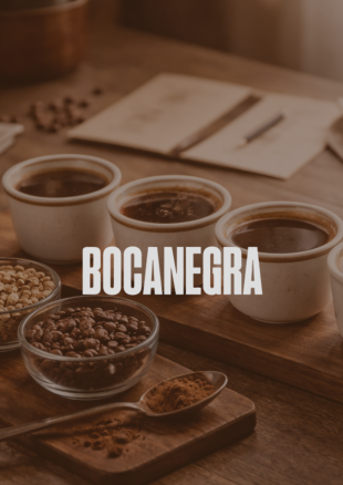 Café de especialidad